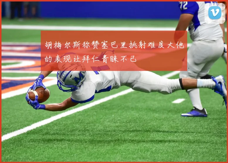 胡梅尔斯称赞塞巴里挑射难度大他的表现让拜仁青睐不已